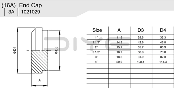 16 AMP Solid End Cap